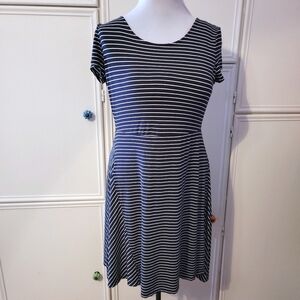 The Limited Navy & White Striped Dress w/ Red Zipper.
